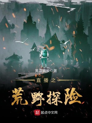 直播之荒野探险 小说