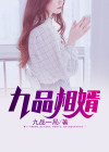 九品相婿 小说