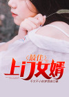 最佳上门女婿全文免费阅读菠菜