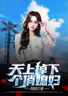 天上掉下个老婆电视剧
