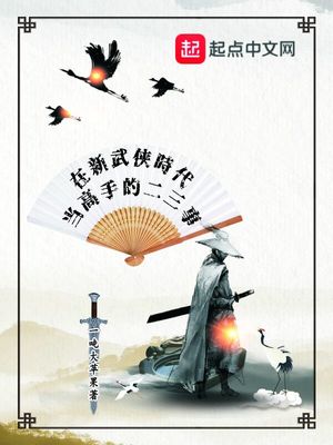 在新武侠时代当高手的二三事小说