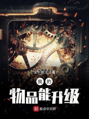 我的物品能升级全针教主