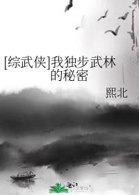 我独步武林的秘密 小说