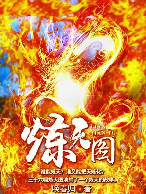 炼天图 小说