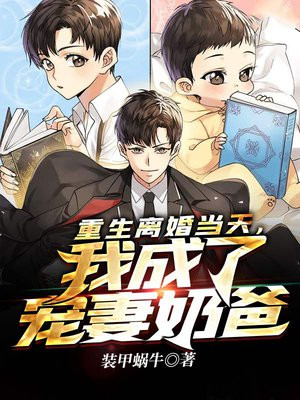 重生离婚当天,我成了宠妻奶爸 小说