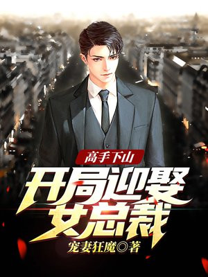 高手出山小说下载