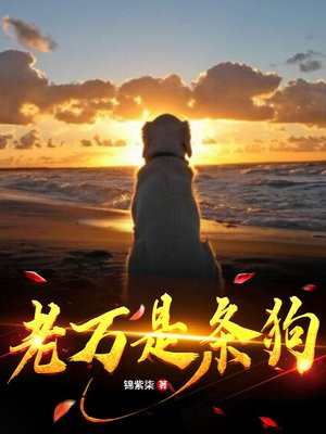 我是条老狗什么意思