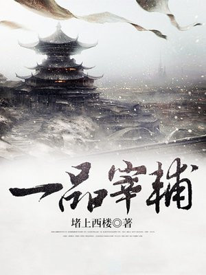 小说一品宰辅