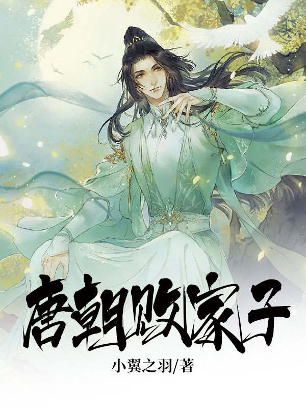 唐朝败家子 小说