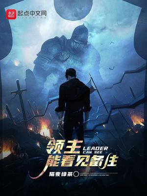 领主能看见备注类似小说