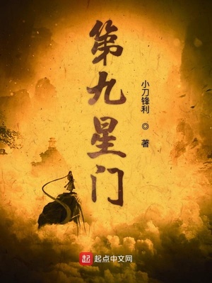 第九星门 小说