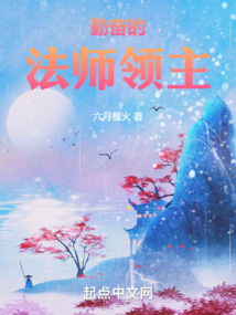 奇幻世界的法师领主起点