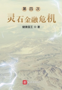 第四次灵石金融危机