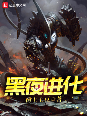 黑夜进化起点