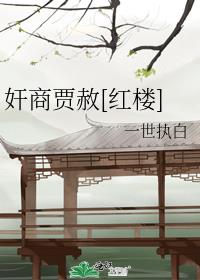贾政,贾赦