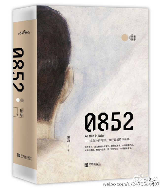 0852小说全文