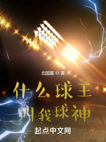 什么球王,叫我球神 小说
