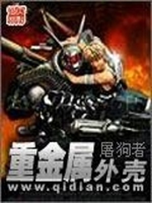 重金属外壳小说