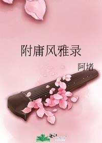 附庸风雅录