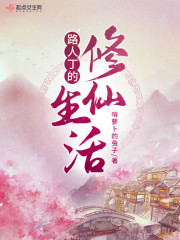 路人丁的修仙生活全集