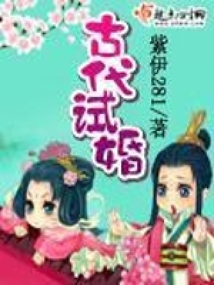 古代试婚在线收听