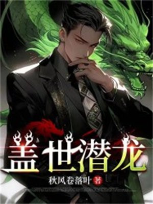 盖世潜龙第二季