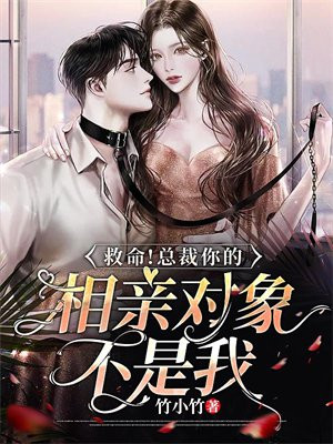 相亲对象是总裁上司小说