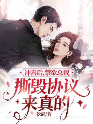 冲喜总裁小说