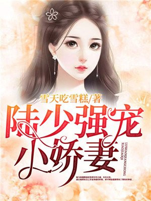 陆少强宠小娇妻 小说