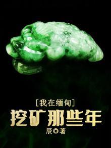 我在缅甸挖矿那些年下载八零