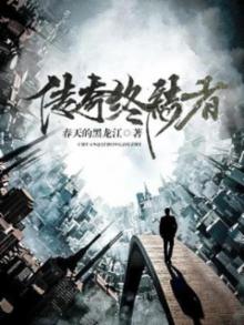 传奇终结者小说