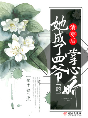 清穿后她成了四爷的掌心娇网盘