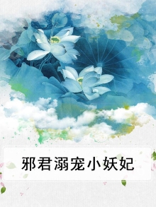 邪君溺宠小毒妃