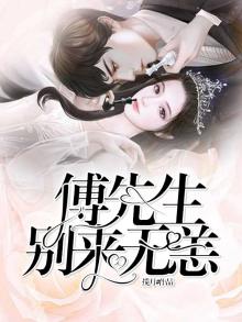 傅先生,别来无恙全文免费阅读夏浅