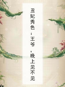 王爷丑妃的小说