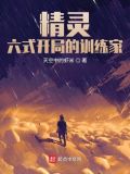 精灵:六式开局的训练家