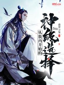 从敖丙开始的神级选择作文