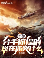 军旅分手你提的现在你哭什么番茄