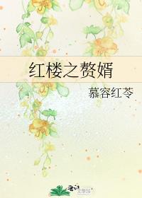 红楼之赘婿免费