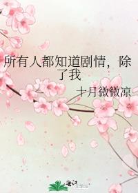 所有人都知道剧情,除了我 小说