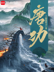 隋唐上将军小说