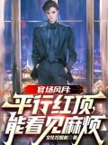 十大必看官场小说平步权峰
