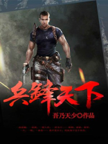 兵锋天下完结