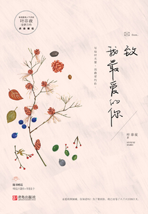 致我最爱的你 叶非夜百度云