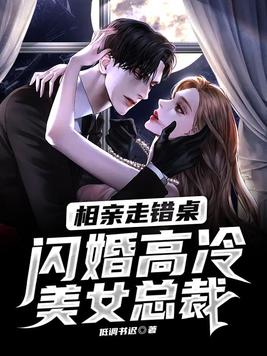 相亲走错桌,闪婚高冷美女总裁下载