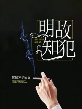 明知故犯许美静