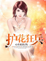 护花狂兵全本小说下载
