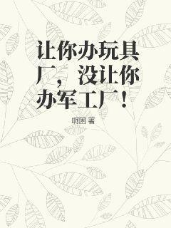 开办玩具厂