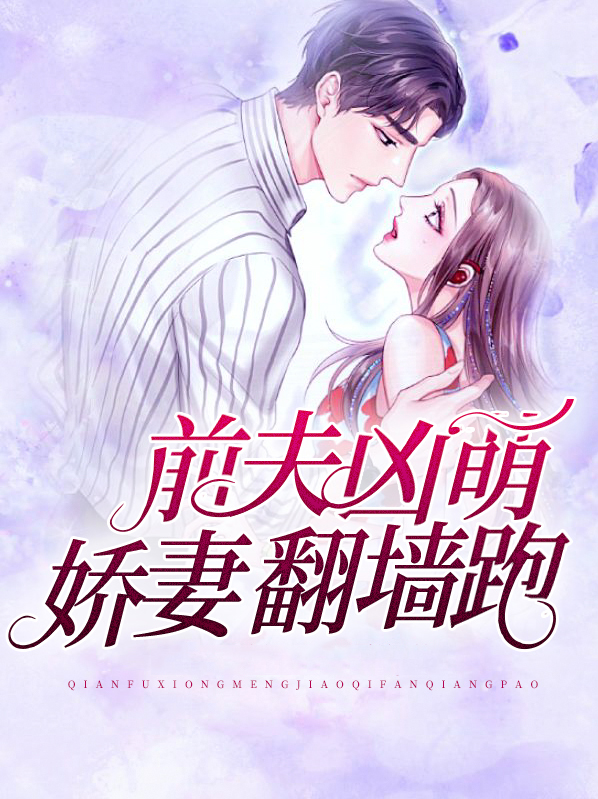 小说前夫前妻