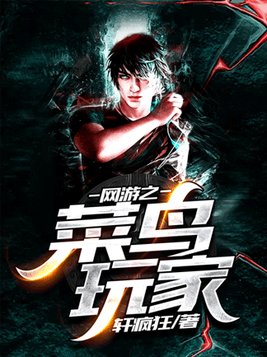 网游之菜鸟玩家第二部